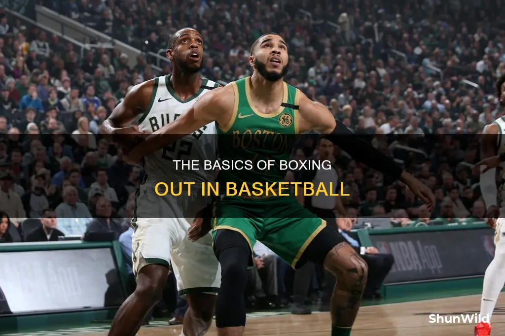 what is a box out in basketball