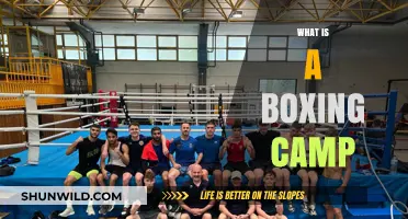 Understanding Boxing Camps: Training, Preparation, and Fighter Transformation