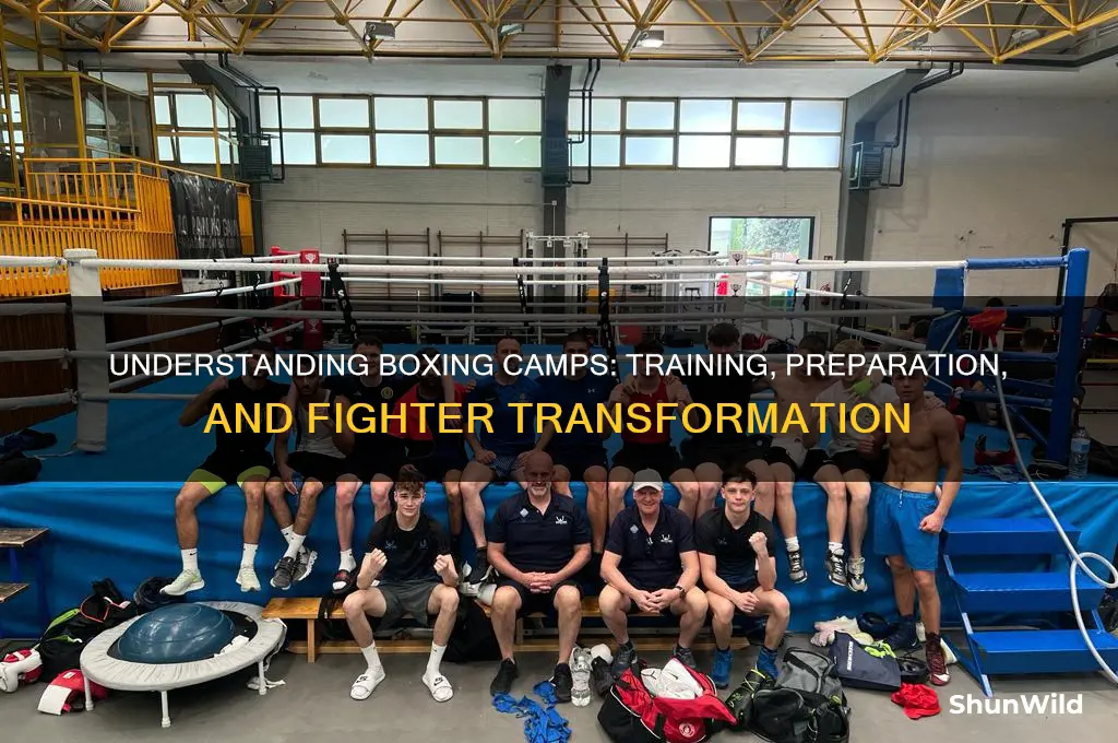 what is a boxing camp