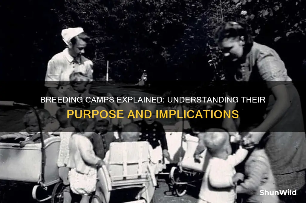 what is a breeding camp