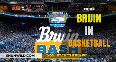 Understanding the Bruin: A Key Basketball Term Explained