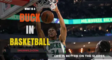 Understanding the Buck: A Key Basketball Term Explained Simply