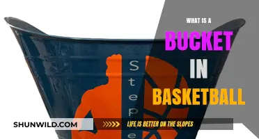 Understanding the Basketball Bucket: Its Role and Importance in the Game