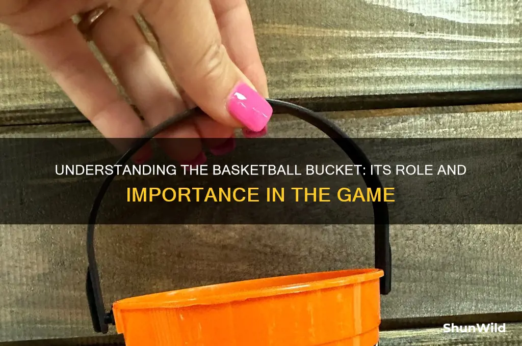 what is a bucket in basketball