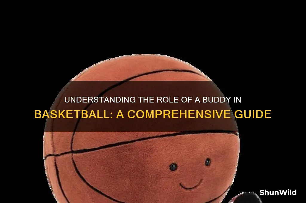 what is a buddy in basketball