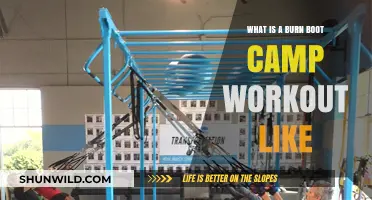 Burn Boot Camp Workout: Intense, High-Energy Fitness Experience Explained