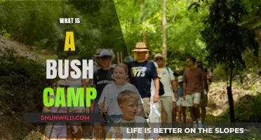 Exploring the Wild: Understanding the Essence of a Bush Camp