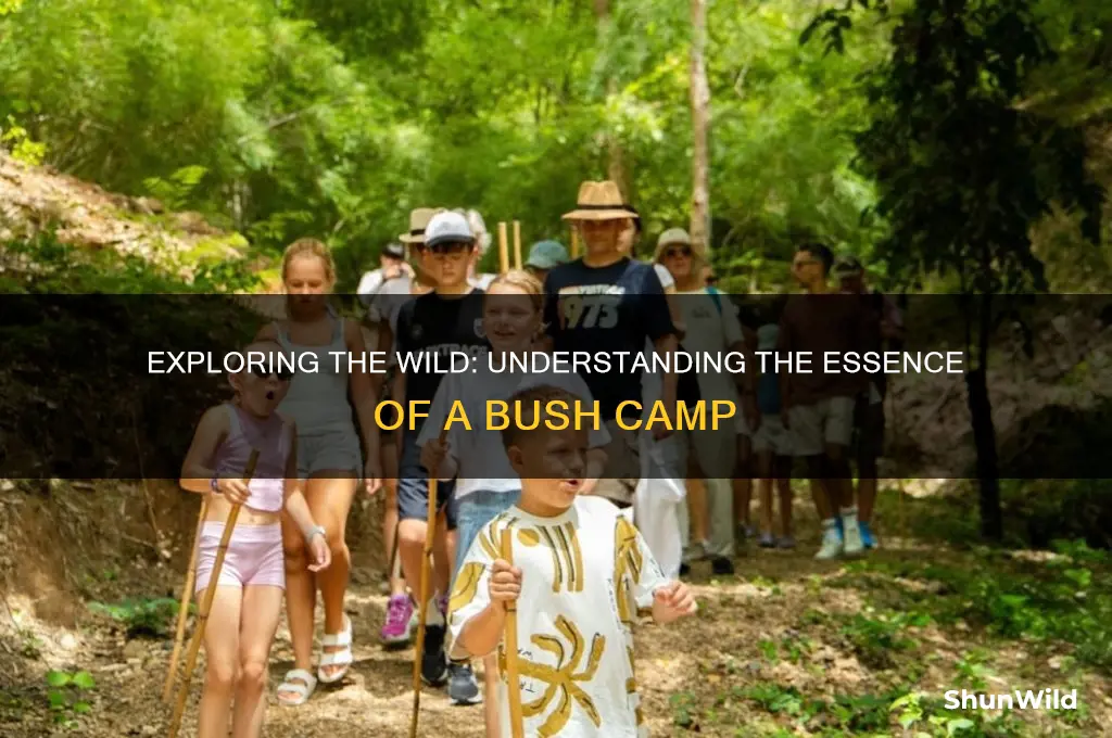 what is a bush camp