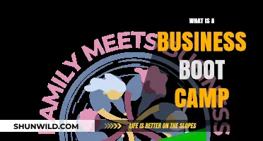 Unleash Your Entrepreneurial Potential: Understanding Business Boot Camps