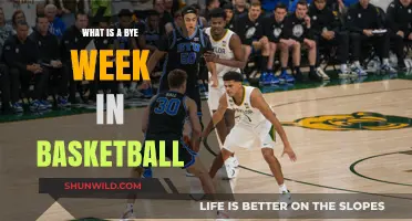 Understanding Bye Weeks in Basketball: Purpose, Impact, and Scheduling