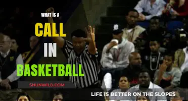 Understanding the Call: A Beginner's Guide to Basketball Refereeing
