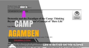Exploring Agamben's Camp Concept: A Philosophical and Political Analysis