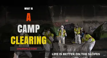 Understanding Camp Clearings: Purpose, Process, and Environmental Impact Explained