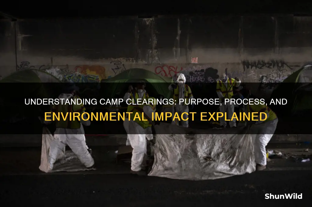what is a camp clearing