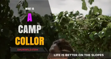 Understanding the Meaning and Significance of a Camp Collar