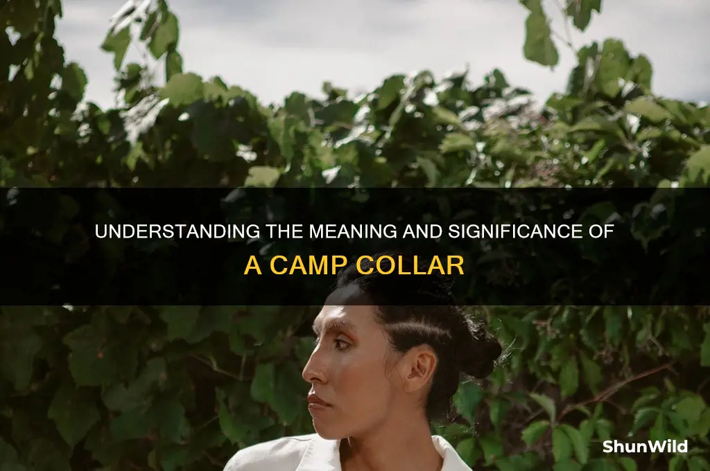 what is a camp collor