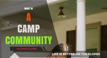 Exploring the Heart of Camp Communities: Connection, Growth, and Belonging