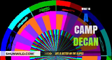 Understanding Camp Decans: Ancient Astrology's Hidden Zodiac Divisions Explained