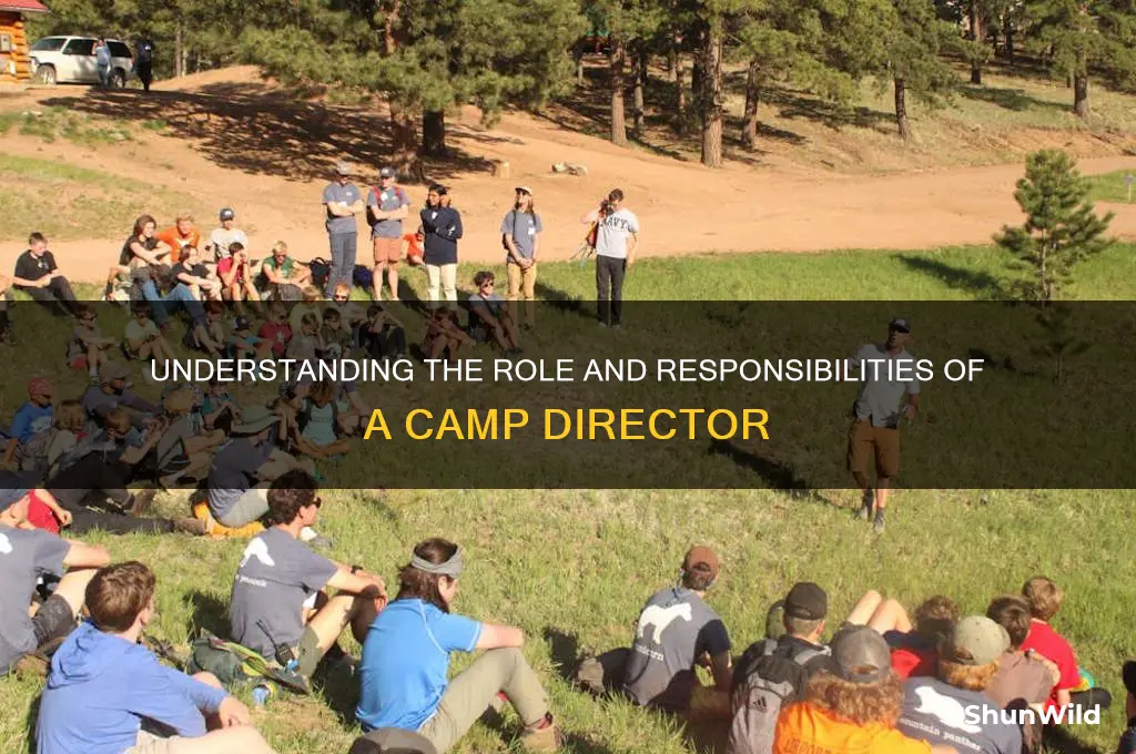 what is a camp director
