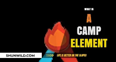 Understanding the Camp Element: A Guide to Its Meaning and Usage