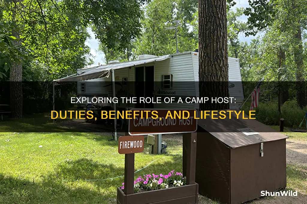 what is a camp host