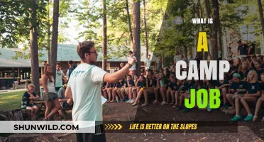 Exploring Camp Jobs: Roles, Benefits, and How to Land One
