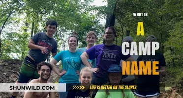 Understanding Camp Names: Origins, Meanings, and Cultural Significance Explained