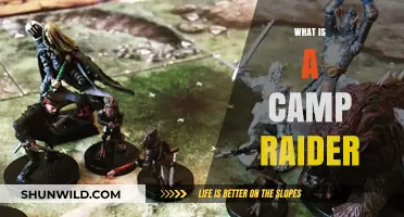 Unveiling the Mystery: Understanding the Role of a Camp Raider