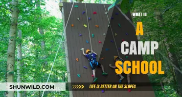 Exploring Camp Schools: Unique Learning Adventures for Curious Kids