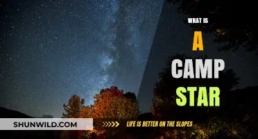 Unveiling the Brilliance: Understanding the Concept of a Camp Star