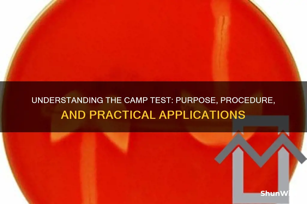 what is a camp test
