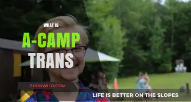 Understanding A-Camp Trans: A Safe Space for Transgender Community