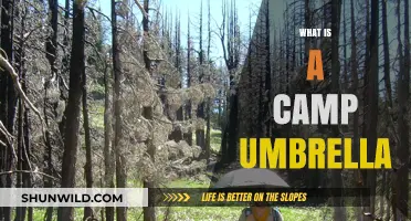 Understanding the Purpose and Benefits of a Camp Umbrella