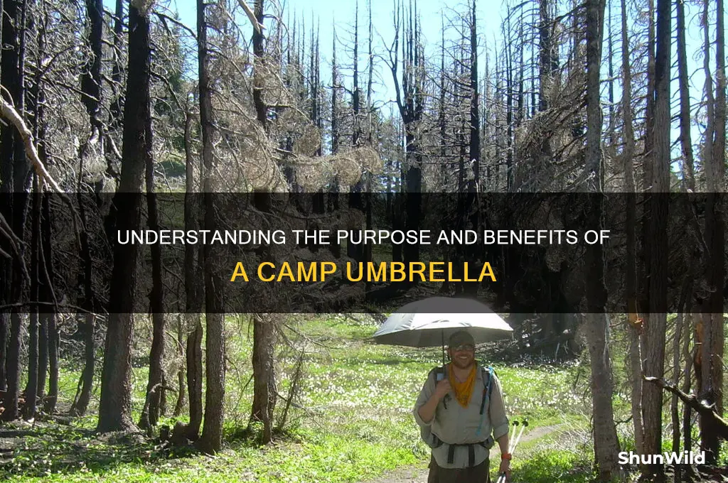 what is a camp umbrella