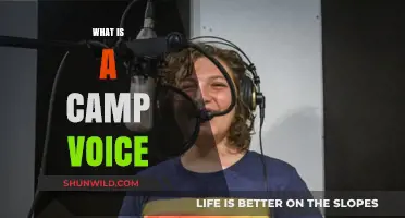 Understanding the Unique Tone and Style of a Camp Voice