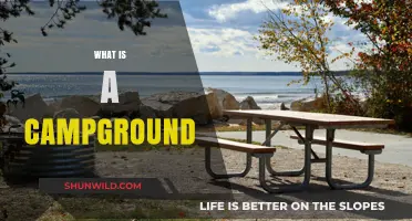 Exploring the Great Outdoors: Understanding What a Campground Truly Is