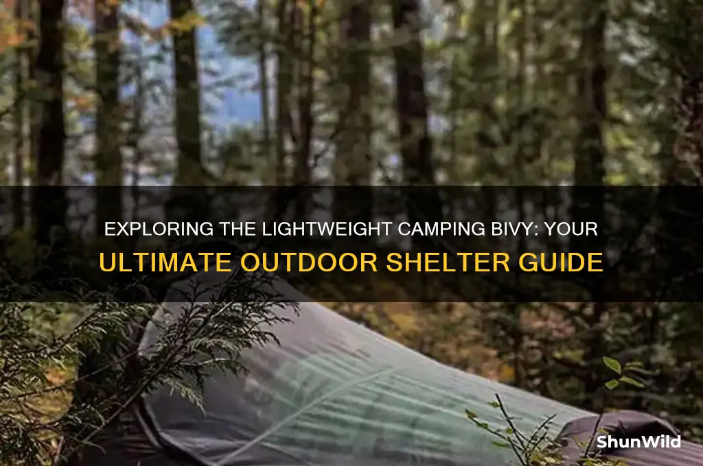 what is a camping bivy