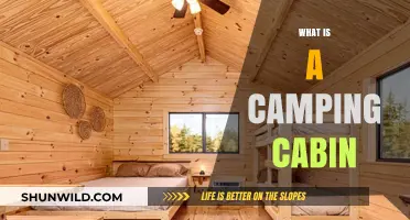 Exploring the Comforts of Camping Cabins: A Beginner's Guide
