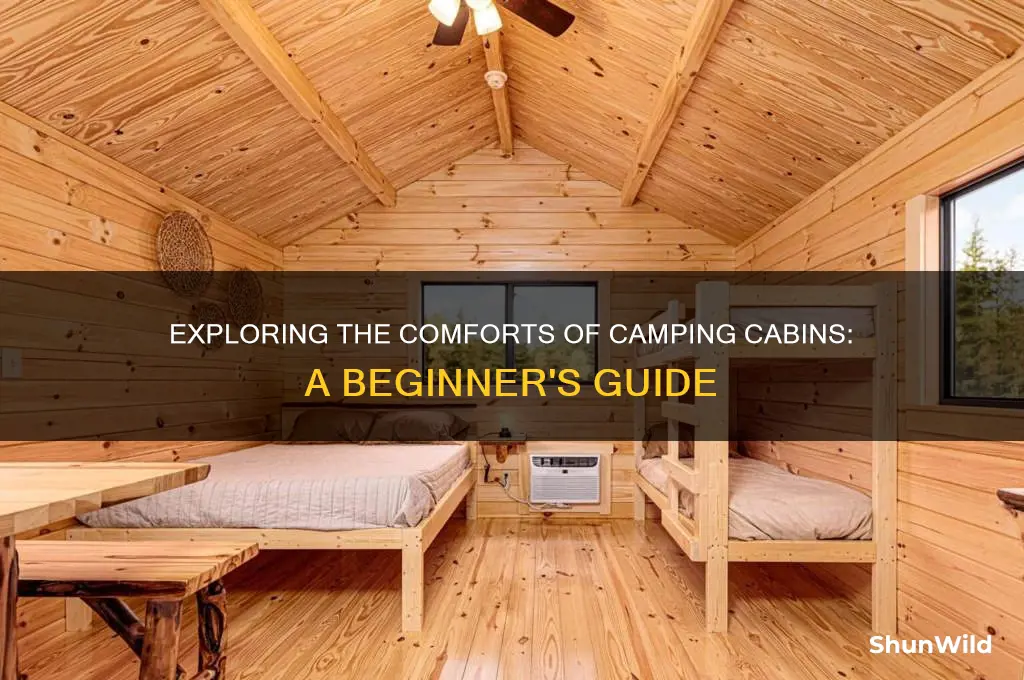 what is a camping cabin