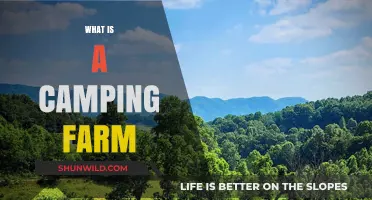 Exploring the Concept of a Camping Farm: Nature Meets Agriculture