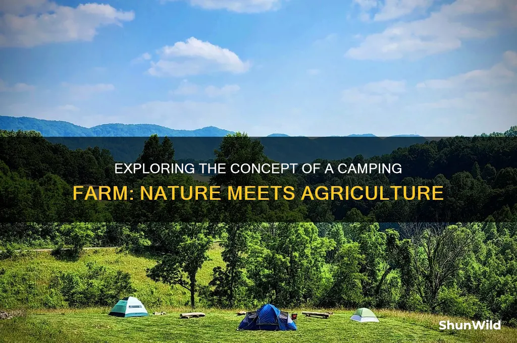 what is a camping farm