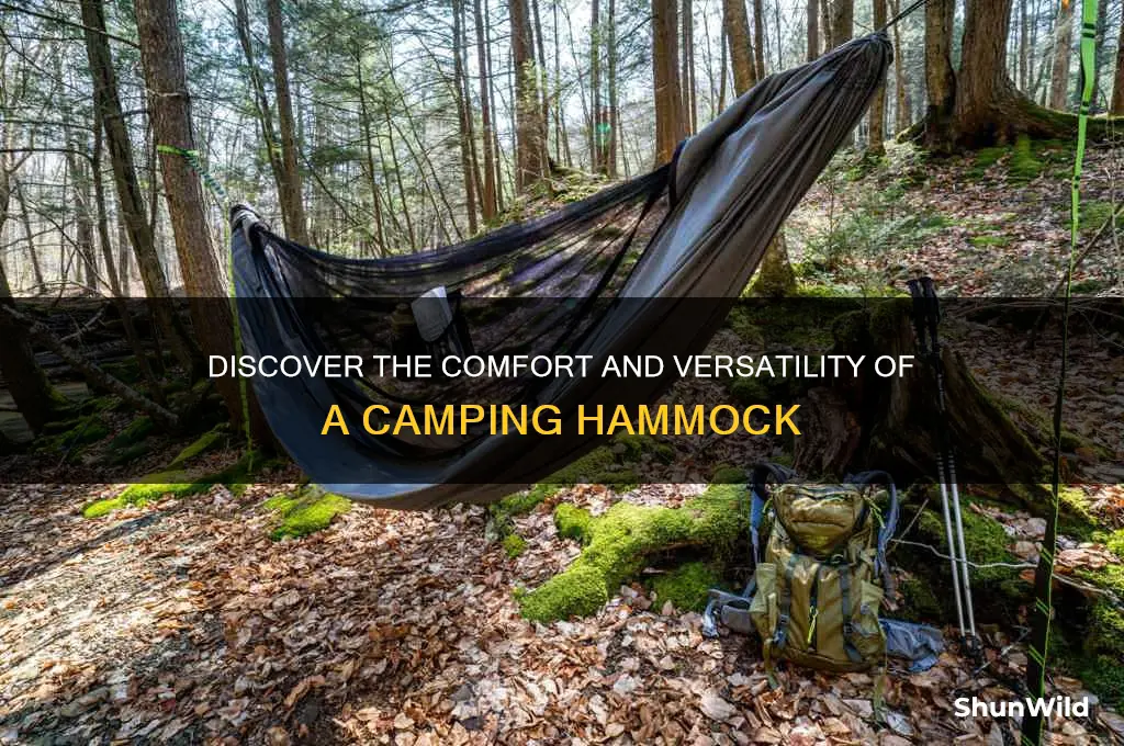 what is a camping hammock