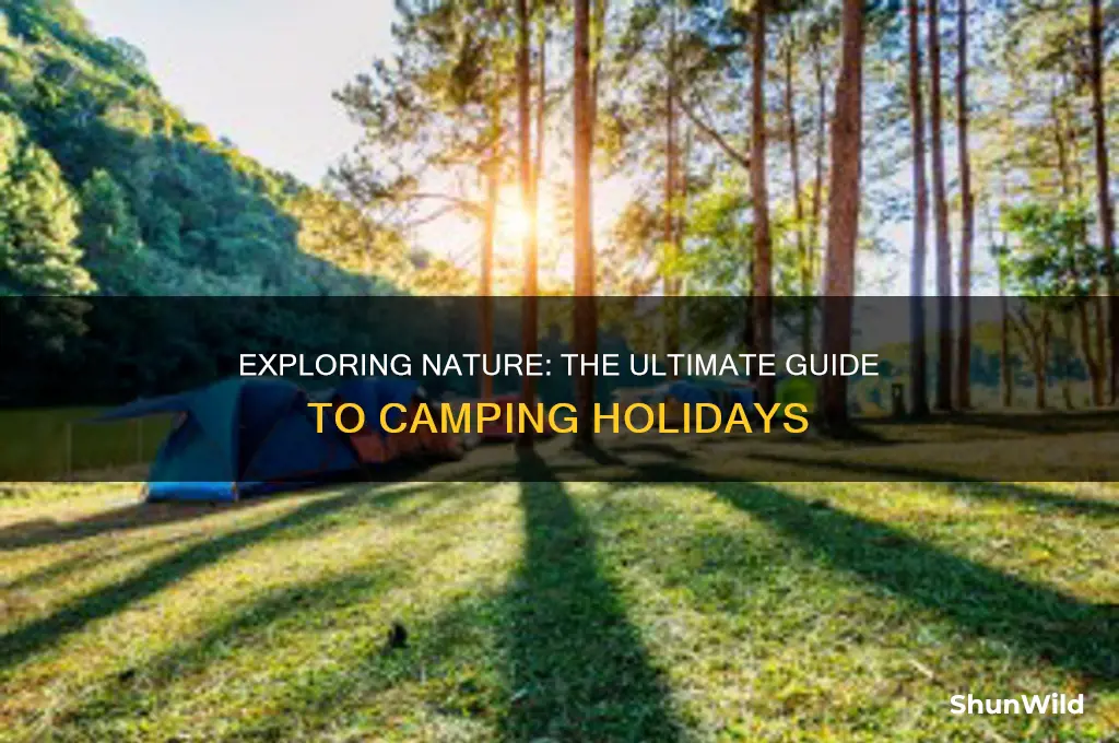 what is a camping holiday