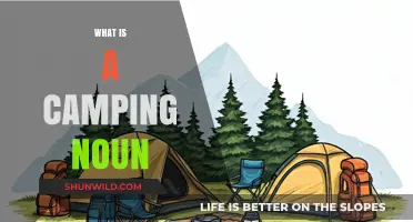 Exploring the Meaning and Usage of 'Camping' as a Noun