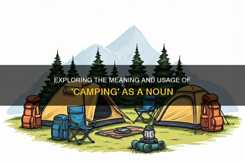 what is a camping noun