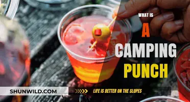 Discover the Refreshing Camping Punch Recipe for Outdoor Adventures