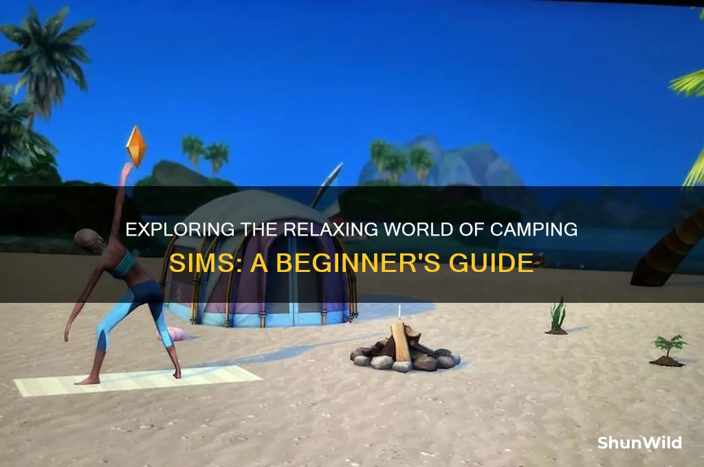 what is a camping sim