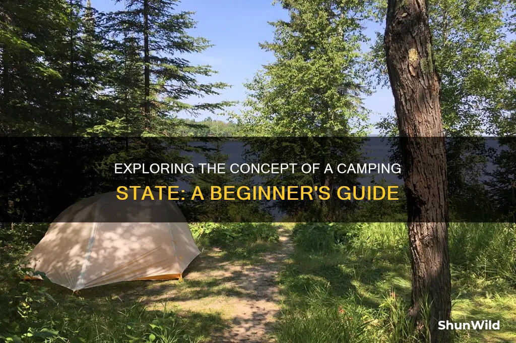what is a camping state