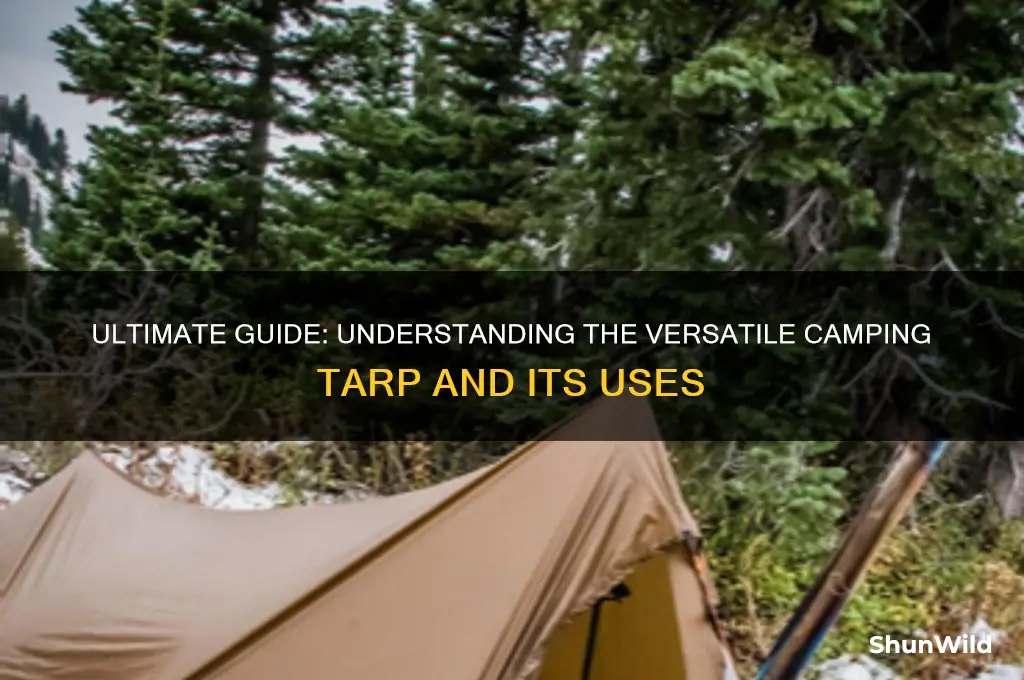 what is a camping tarp