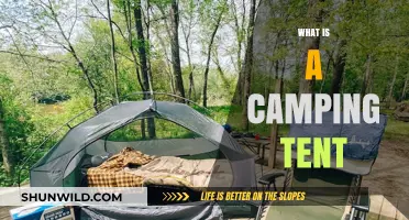 Exploring the Basics: What is a Camping Tent and Its Uses